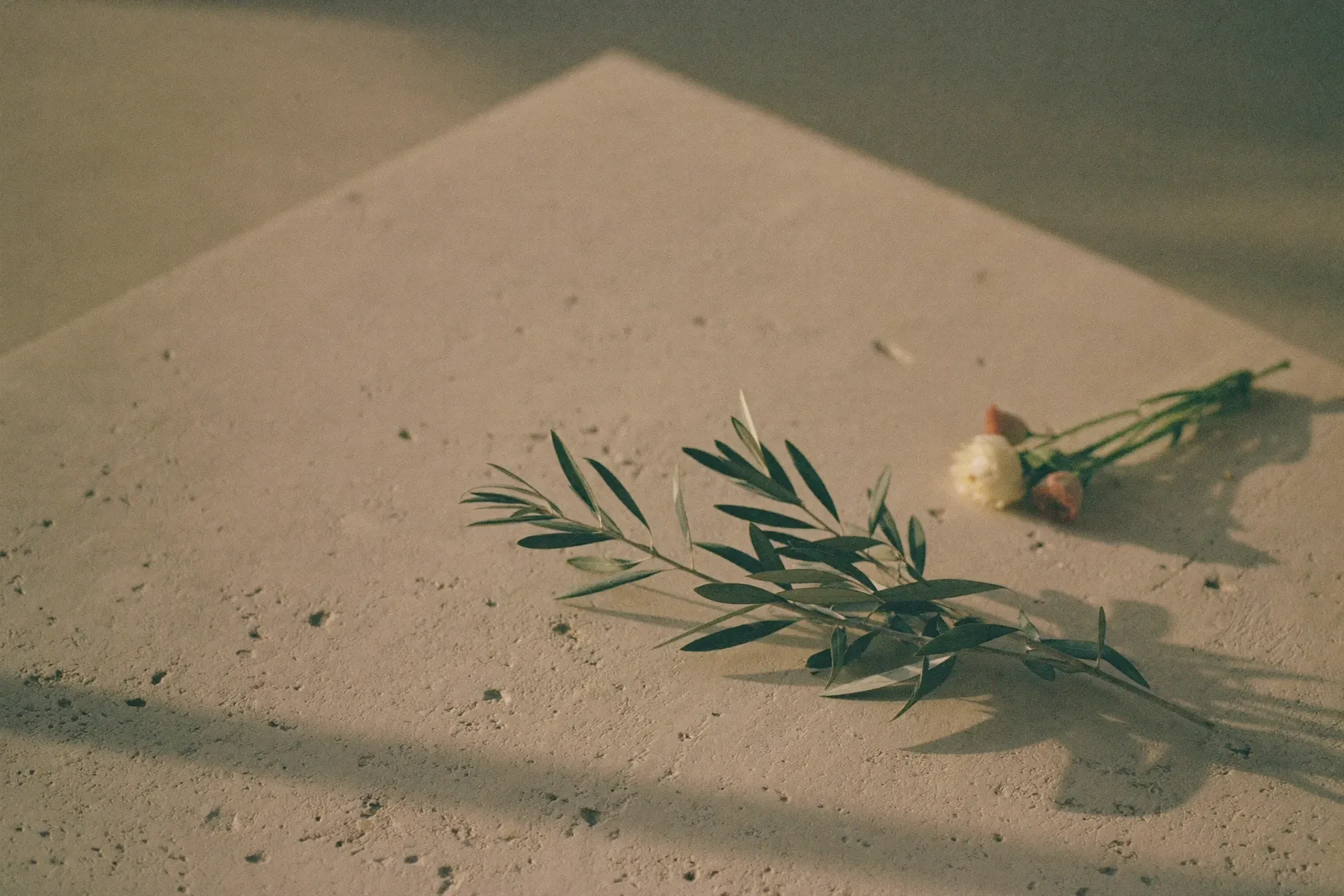 Plume blanche et gypsophile sur une pierre claire
